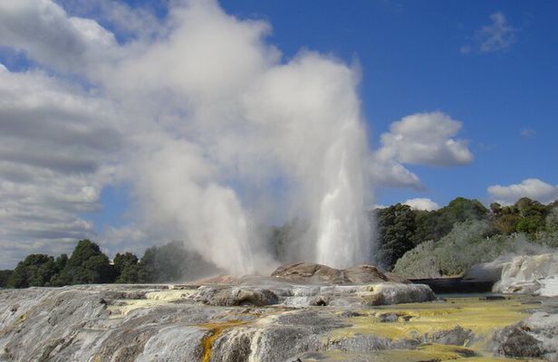 Small Group Waitomo and Rotorua including Te Puia Tour