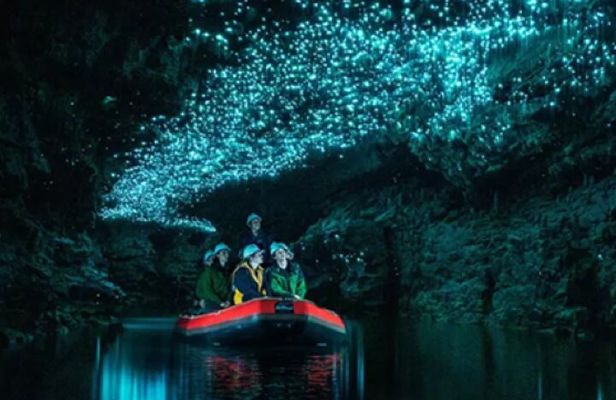 Waitomo Spellbound Glowworm Caves Small Group Tour from Auckland