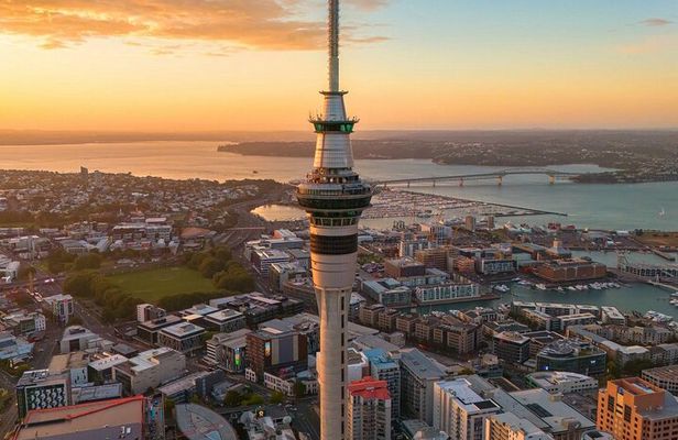 Auckland Half Day Tour Through Urban Wonders