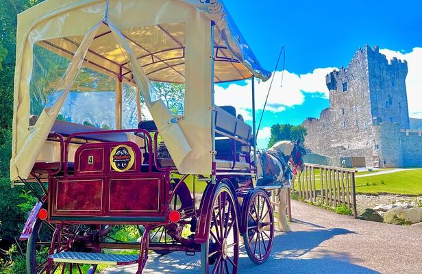 Killarney Jaunting Car Tour