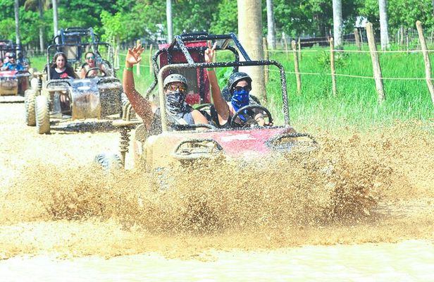 Punta cana Boogie into the Jungle with Coffee and Chocolate Taste