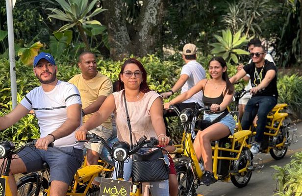 Private One and a Half Hour E-Bike Express Tour