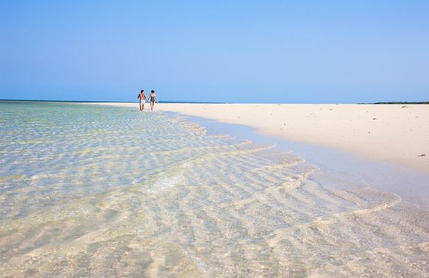 Explore Full day Private tour Beach to Beach in Zanzibar