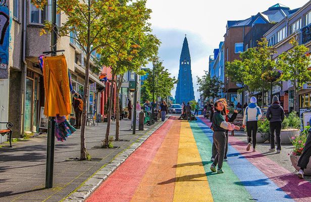 Reykjavik City Half Day Private Tour