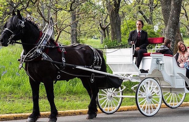 Central Park and NYC Horse Carriage Ride
