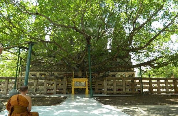 Full day Private Guided Tour of Sarnath from Varanasi 