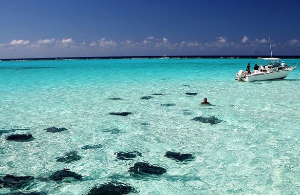 Grand Cayman Stingray City and Reef Snorkeling Combo Tour