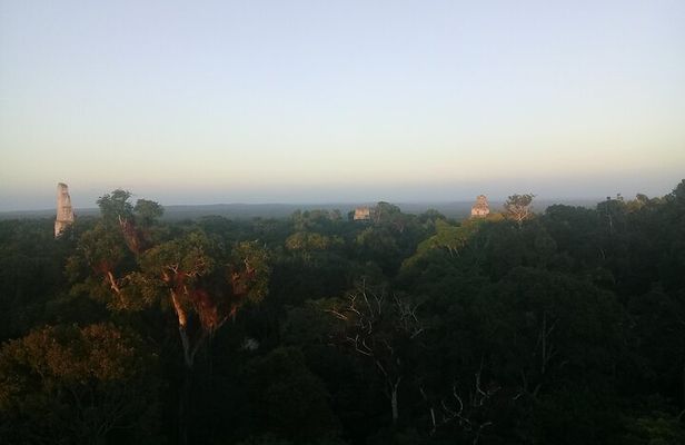 Tikal Day Tour with Pick-up from Flores