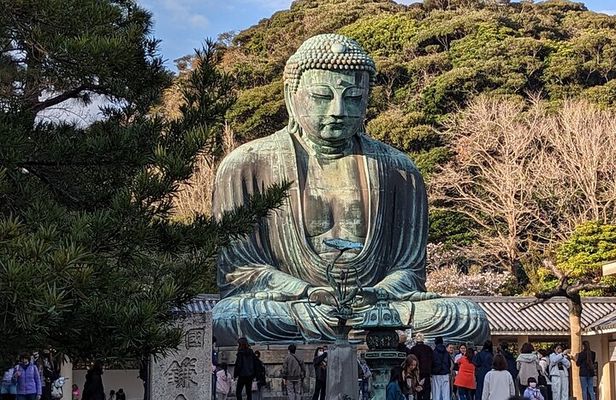 Tokyo Private Car Tour: Kamakura, Enoshima & Yokohama Highlights