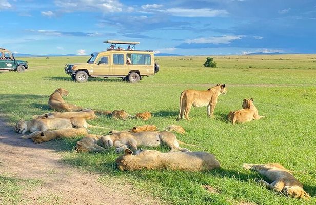 3 Days Group Joining Safari to Maasai Mara in a 4WD JEEP