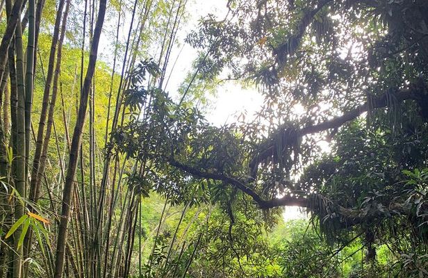 Glide into adventure: Hiking and natural slides