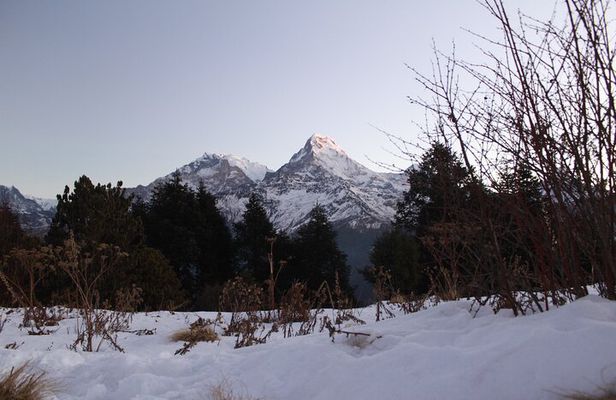 5 days Poon Hill Trek with Half Day Seti River Rafting