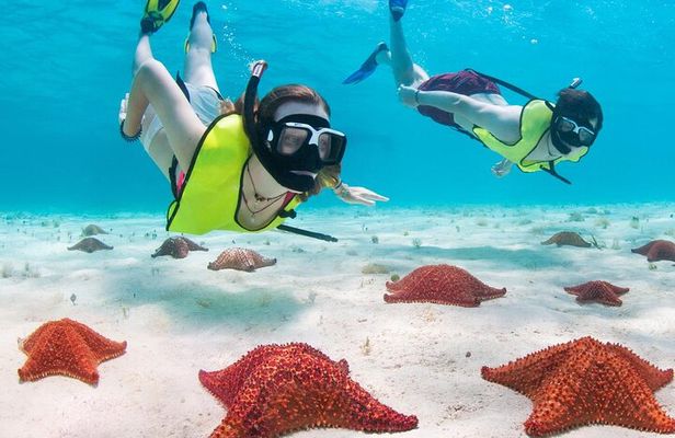 Cayman 3 in 1 Combo: Starfish Point, Stingrays and Reefs
