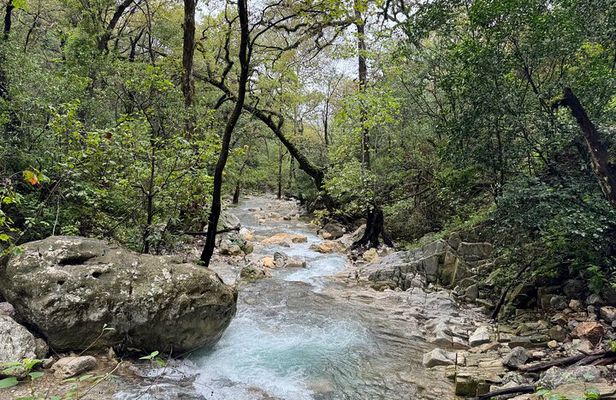 Discover Estanzuela Natural Park