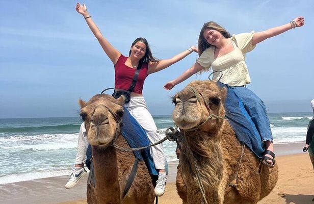 4 Hour Deluxe Private Guided Tour of Tangier