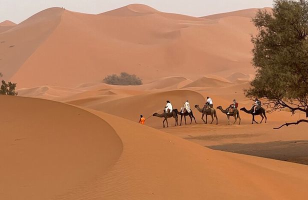3-Day Sahara Tour, Departure from Marrakech to Merzouga Desert