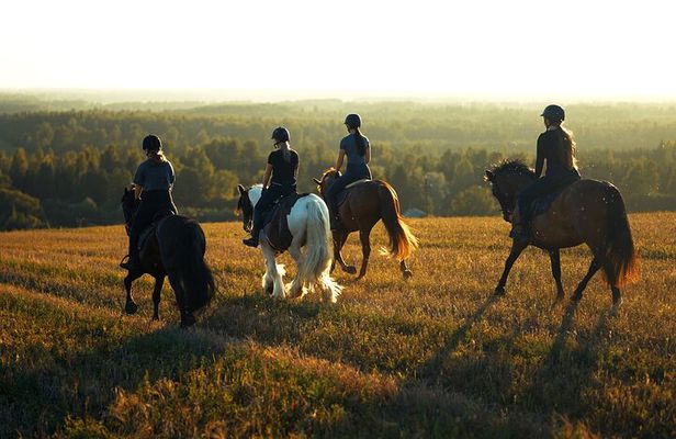 Horseback Riding in the Landscape