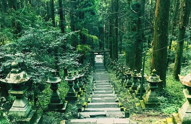 Kyushu Tour of Shrines Sakura Gorges and Landmarks from Fukuoka