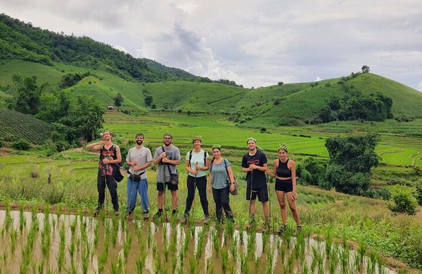 Trekking with Lunch cooked by Bamboo in the Chiang Rai jungle