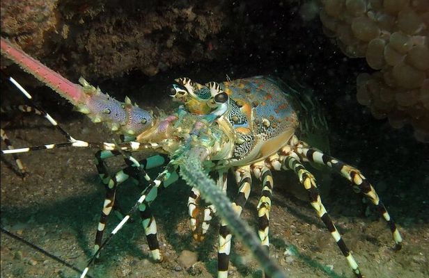 Madagascar Cultural and Natural Wonders Tour