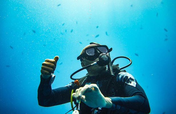 Nusa Penida Private Diving Tour by Speedboat