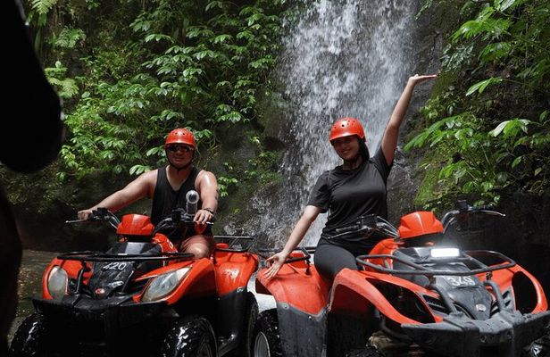 Bali Quad Biking Jungle Exploration with Buffet Lunch