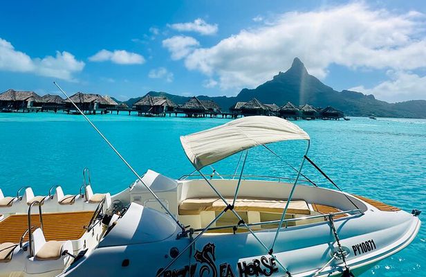 Bora Bora blue lagoon excursion, snorkeling, lunch in heaven