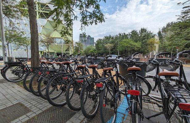 Private Bike or E-bike Tour Starting from your Hotel