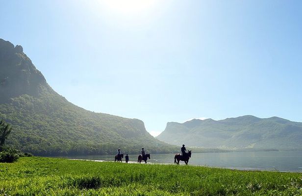 Horse Riding experience by Haras du Morne 