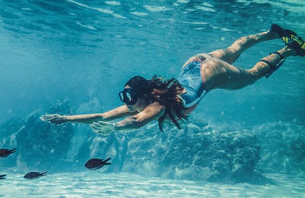 Ras Mohamed & White Island,Snorkeling & 1 Diving -Sharm el sheikh