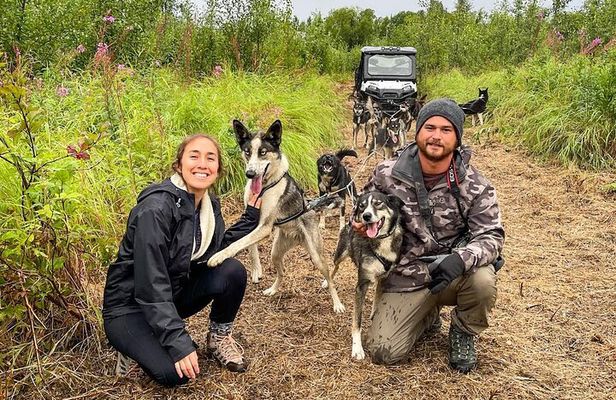 Dryland Dog Sled Tour