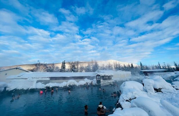 Chena Hot Spring Day Tour