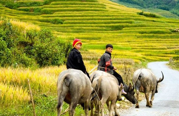2 Day Sapa Trekking Tour