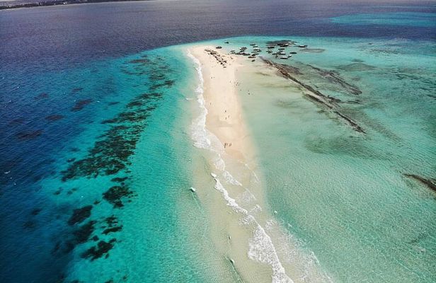A Half Day Private Nakupenda Sandbank with Seafood BBQ Lunch