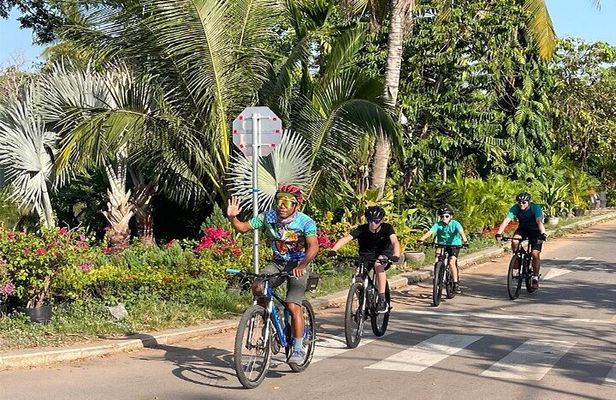 Bike to Angkor Wat, Ta Prohm, Angkor Thom & Banteay Kdei