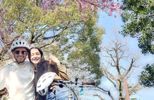 3hr Private E-bike Tours in Tokyo, Starting at your hotel