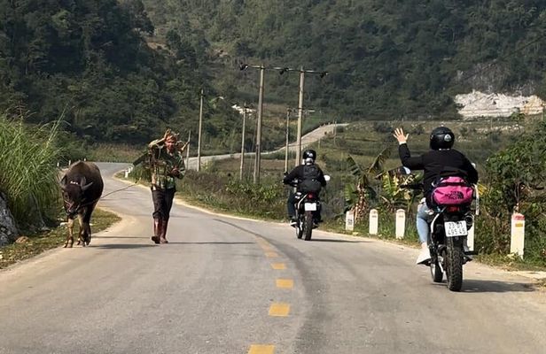 Ban Gioc Waterfall Full-Day With Local Guide