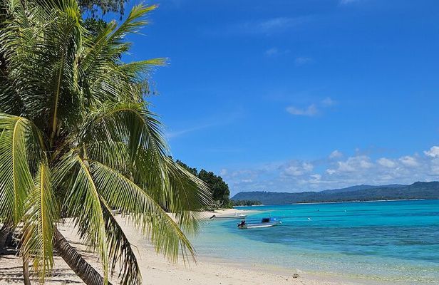 Full Day Pele Island Boat Tour with Barbeque Lunch 