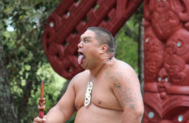 Bay of Islands 2-Day Small Group Tour & Cruise from Auckland