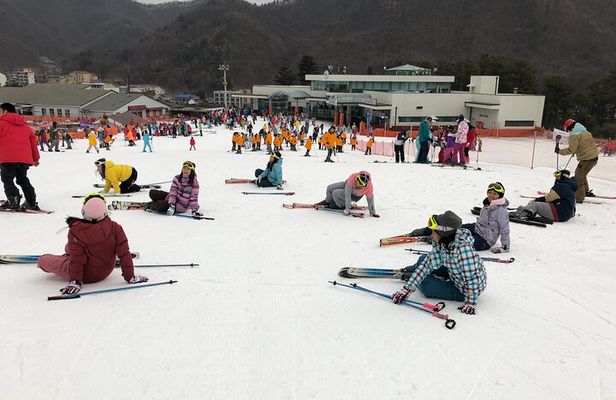 Jisan Forest Ski Resort and Everland 1 Day Tour