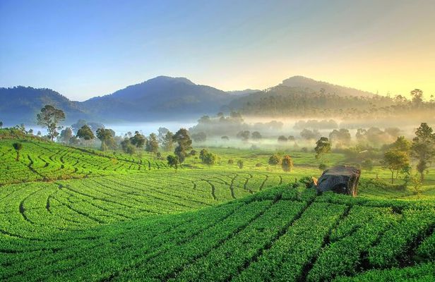 Jakarta Volcano White Crater and Natural Hot Spring in West Java