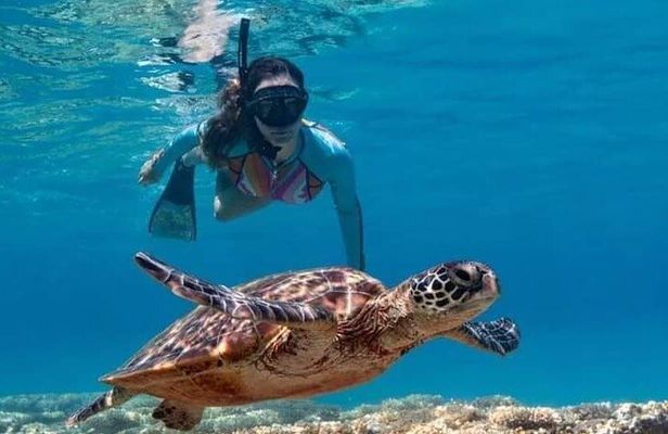 Underwater Temple in Amed Bali Snorkeling Tour