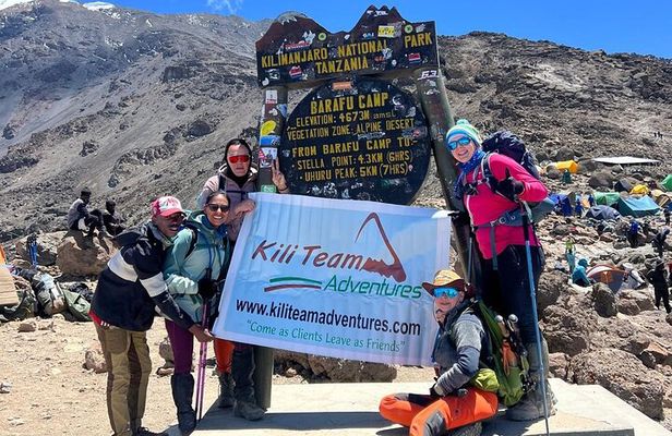 Conquering Kili The 7 Day Lemosho Adventure