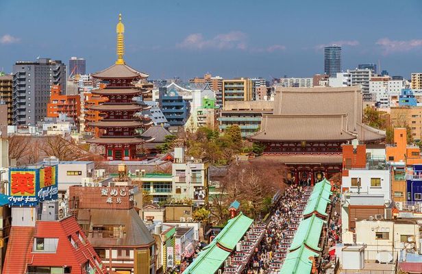 Tokyo Morning Small Group Tour