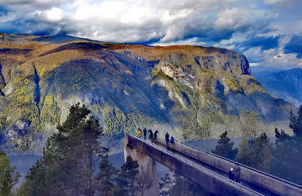 Full Day Tour to Naeroyfjord in Sognefjord, Flam and Stegastein