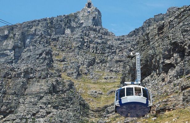 Table Mountain, Cape of good hope Full Day Shared Group Tour