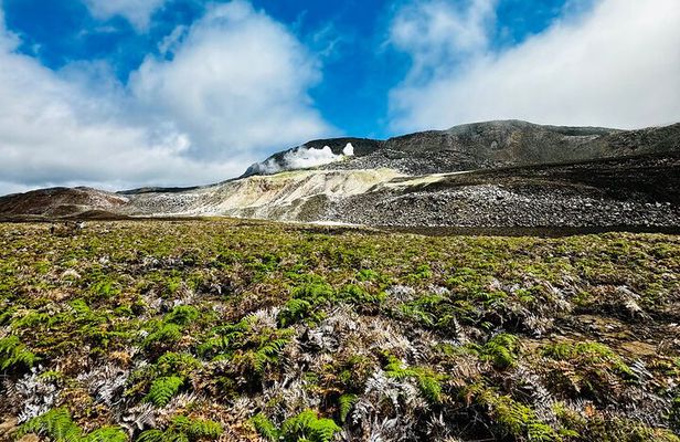 Half-Day Hiking Tour to Sulfur Fumaroles on Isabela Island