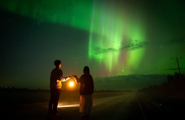 Unlimited Range Northern Lights Hunt with VIP Van