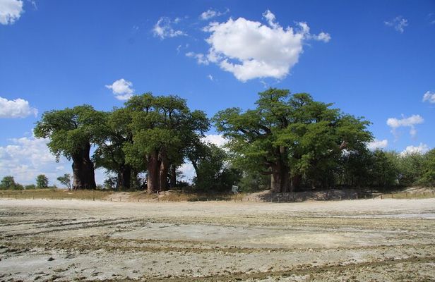 4 Day All Inclusive Tour to Boteti, Delta and Pans