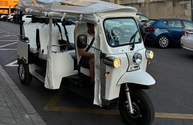 2 Hour Private Panoramic Tuk Tuk Tour